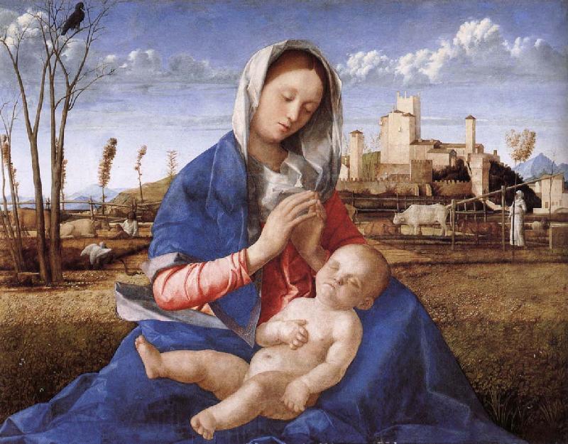 Giovanni Bellini Madonna pa indicated Norge oil painting art
